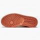 Dámské/Pánské Nike Jordan 1 Mid Apricot Orange Apricot Agate Terra Blush DH4270-800 obuv