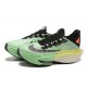 Dámské/Pánské Nike Air Zoom Alphafly Next 2 Black Green Obuv 