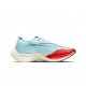 Dámské/Pánské Nike ZoomX VaporFly NEXT Blue Red Obuv 