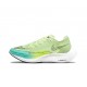 Dámské/Pánské Nike ZoomX VaporFly NEXT Green and Blue Obuv 